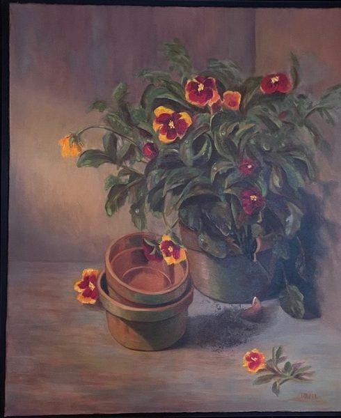 Pansies in Terracotta